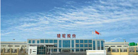 1484622217346026264.jpg 1.jpg