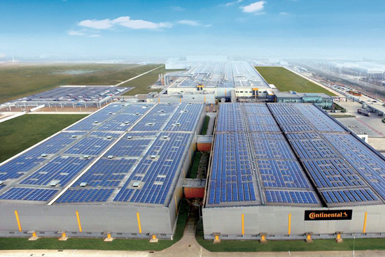 1488424631052020833.jpg 2timg (7).jpg