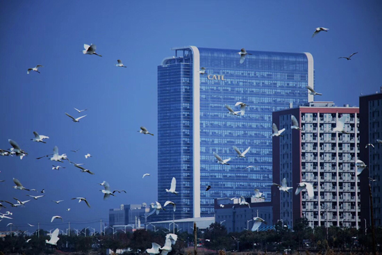 獨角獸寧德時代正式登陸創(chuàng)業(yè)板 引領(lǐng)動力電池行業(yè)時代變革 獨角獸寧德時代正式登陸創(chuàng)業(yè)板 引領(lǐng)動力電池行業(yè)時代變革