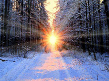 產能盤點I | 400GWh！寒冬中的暖陽？主流電池企業擴增迅速