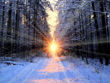 產能盤點II | 400GWh！寒冬中的暖陽？后起之秀產能崛起