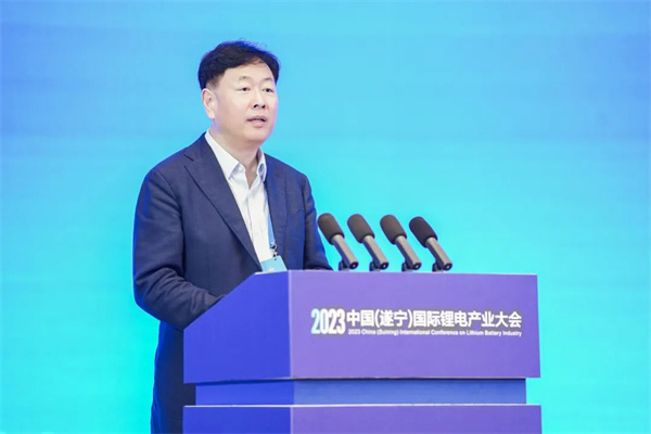 中國化學(xué)與物理電源行業(yè)協(xié)會秘書長王澤深致辭